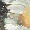 Daisies and Sweet Potato Leaves by Donna Festa