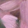 Echinacea by Donna Festa